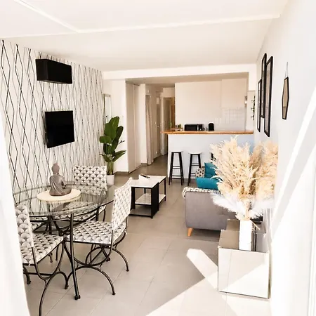 Naturiste Cap D'agde Port Ambonne 204 Appartement