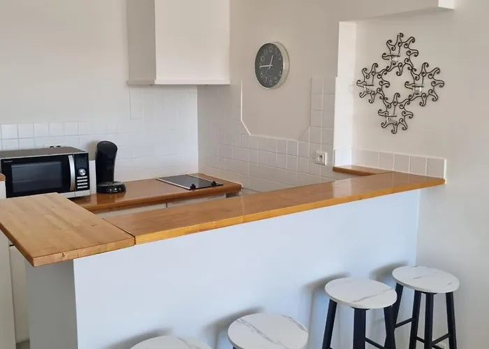 Apartment Naturiste Cap D'agde Port Ambonne 204